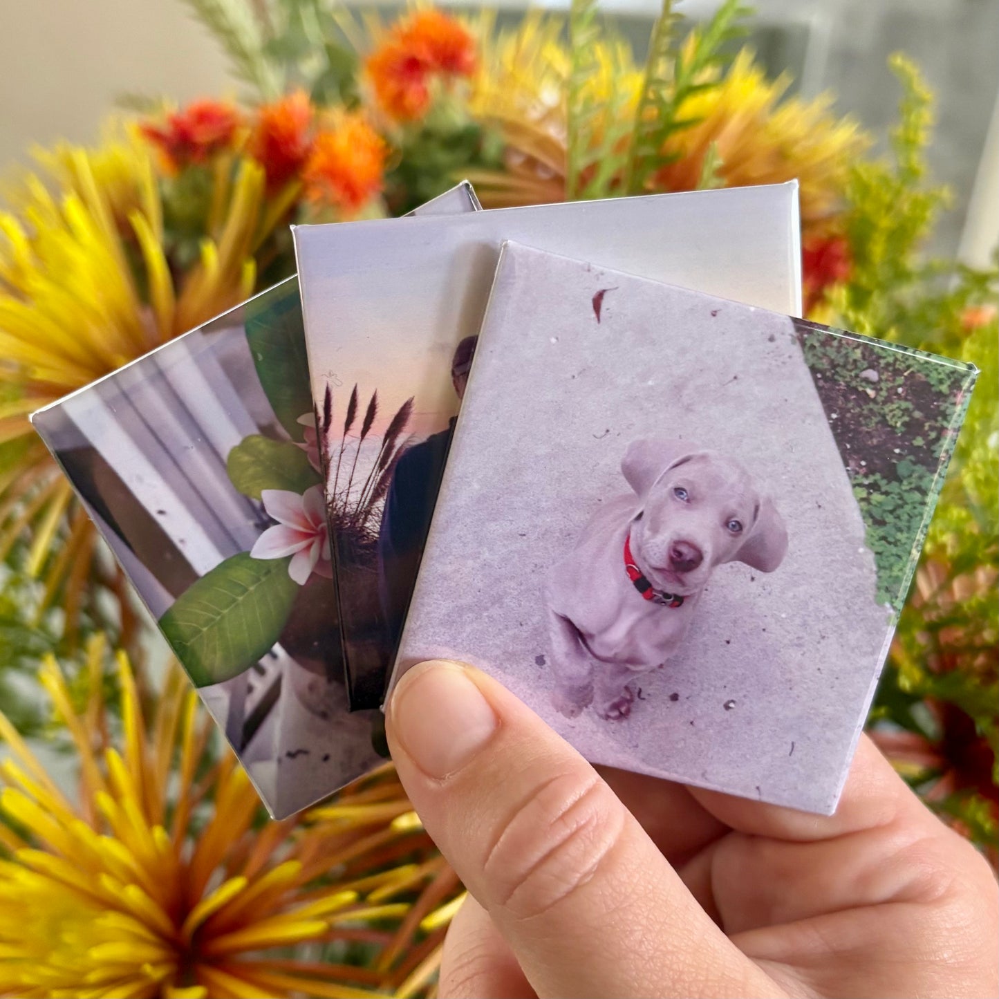 Magnet Set of 3