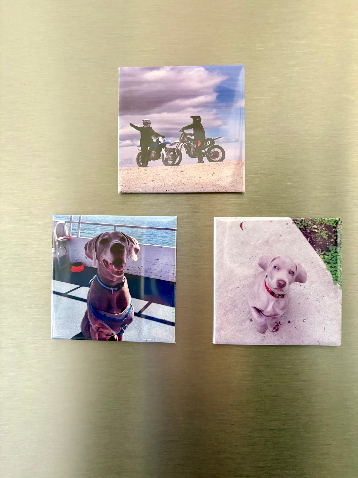 Magnet Set of 3