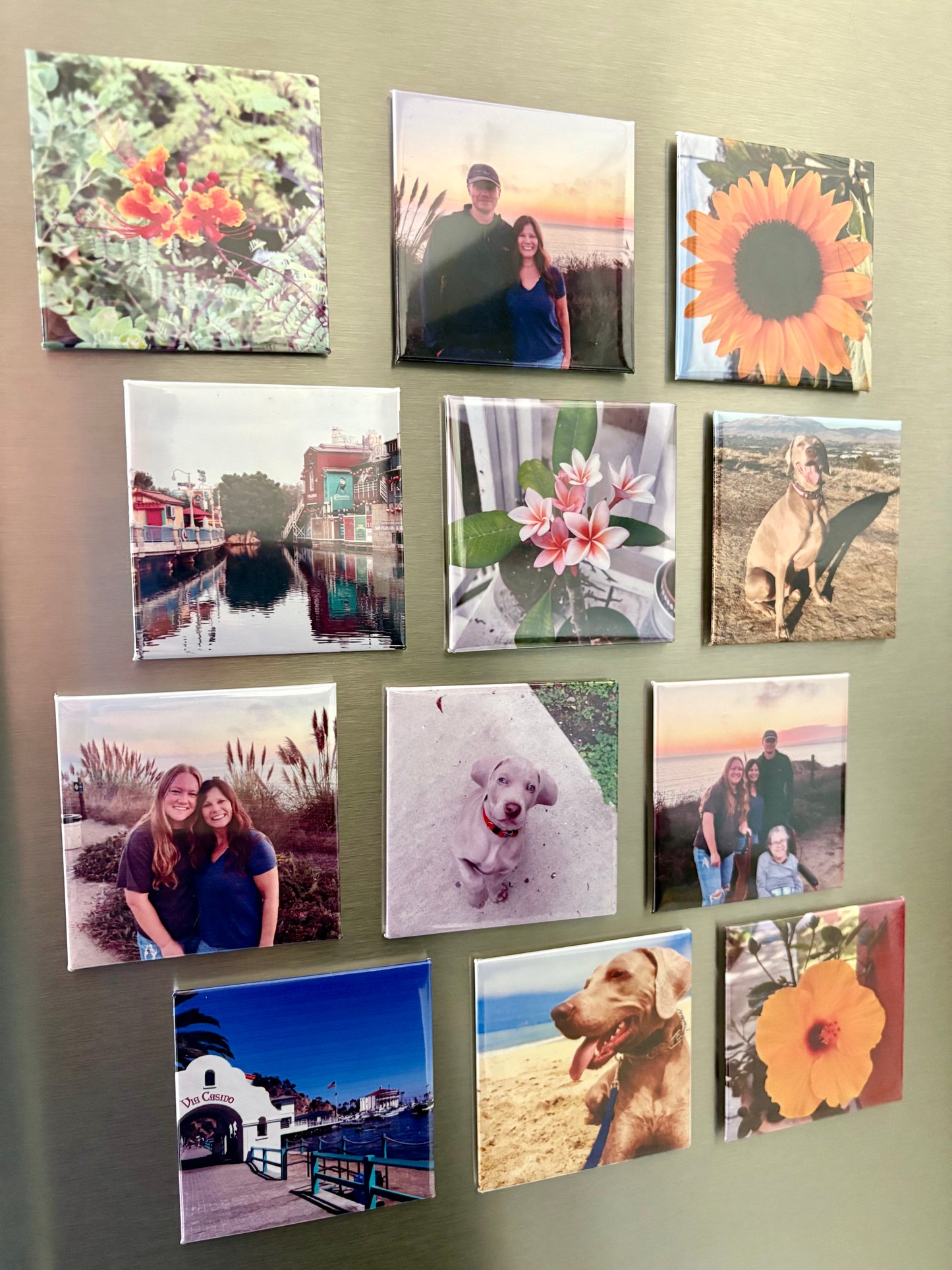 Magnet set of 12