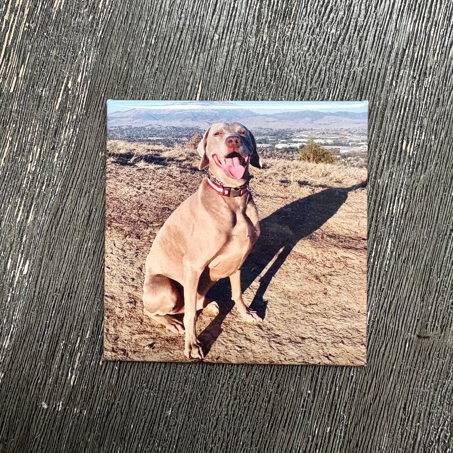 Custom Photo Magnet
