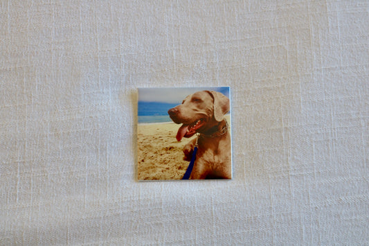 Custom Photo Magnet