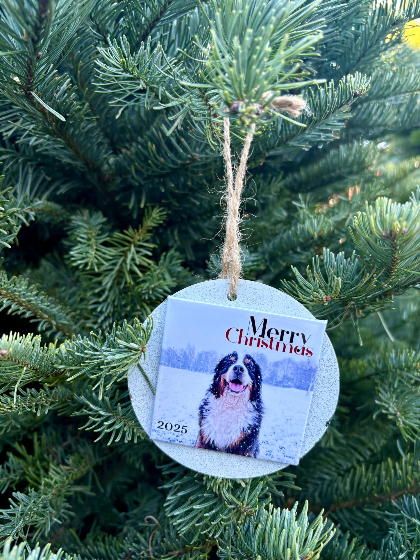 Holiday Magnet Ornament